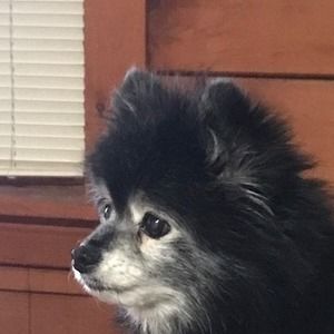 Meet your Posher, Michele